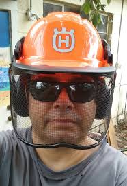 Chainsaw helmet headset for sale in Grants Pass, OR?