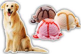 We did not find results for: 2021 Can Dogs Eat Ice Cream Is Ice Cream Good For Dogs