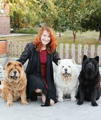 If anything, the rough haired chow sheds worse than the smooth haired dog, although both will leave huge dust. Chow Chow Tri Medvedya