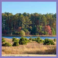 Hey, Magical Friends