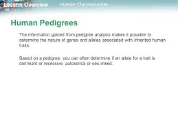 Download download chapter 14 3 the human genome project answer key book pdf free download link or read online here in pdf. Lesson Overview Lesson Overview Human Chromosomes Lesson Overview 14 1 Human Chromosomes Ppt Download