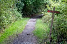 Maybe you would like to learn more about one of these? Hiking The Limestone Loop At Canoe Creek State Park In Blair County Uncovering Pa