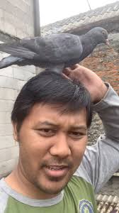 Amar Sesa (@colby.amr) · Depok