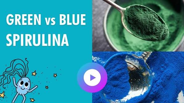 💙 Blue Spirulina Vs Green Spirulina 💚