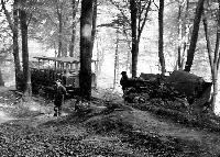 Liebe gäste der drachenfelsbahn, bei uns und der stadt königswinter kommt es immer. Virtuelles Bruckenhofmuseum Konigswinter Oberdollendorf