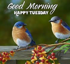Animated good morning images birds. Good Morning Birds Pics Archives Free Good Morning Images