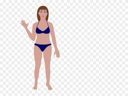 Based on the preliminary identification of the remains, the search for julia. Female Human Body Clip Art Women Body Vector Png Transparent Png 27307 Pinclipart