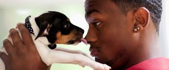 New Puppy Smell: Do Puppies Have a Version of 'New Baby Smell?'