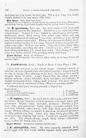 Image result for Eriosema flemingioides