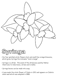 These state seals were created approximately 15 in diameter. Syringa Coloring Page