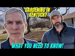 Exploring Lexington's Sweet Legacy: Donut Days Bakery