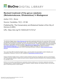 Image result for Lijndenia sp. cf barteri