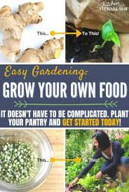 You should start drawing out your garden for all the vegetables you want to grow. The Easy Garden Anyone Can Grow 5 Tips To Get You Started Today
