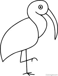 The scarlet ibis (eudocimus ruber) is a species of ibis in the bird family threskiornithidae. Ibis Coloring Pages Coloringall