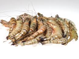 Seien sie vorsichtig, um nicht zu viel fleisch vom rumpf abzutrennen. Garnelen Roh Mit Kopf Und Schale 16 20 Garnelen Meeresfruchte Lachskontor Frischfisch Versand Fisch Kaufen Jetzt Bestellen