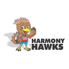 Birds Of Prey Movie Logo Transparent Kid Friendly Hawk Mascot That Will Promote Hawks Rising To Excellence Not Birds Of Prey Illustration Or Gra Fun Illustration Bird Tattoo Foot Black Bird Tattoo