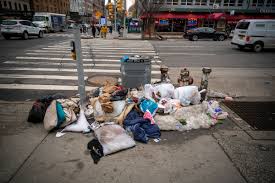 نتیجه جستجوی لغت [litter] در گوگل