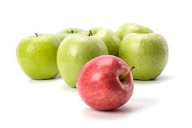 Apple 31144 Fruits And Vegetables Harvest Season Fruit Apple Vegetable Harvest