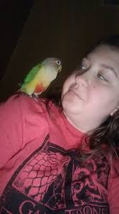 Abi is so shrill and ott it's driving me nuts! Can't watch her! And those  lashes! 😱