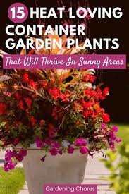 These profuse bloomers are extremely forgiving and come in a wide range of colors. 15 Heat Tolerant Container Garden Plants For Sunny Areas