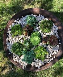 Garten deko selbstgemacht, findet ihr hier und mit einfachen. Deko Ideen Mit Sukkulenten Seite 27