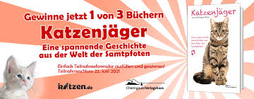 Suchplakat für eine entlaufene katze schreiben. 1tcnfegxpwmh3m