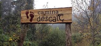 Camina descalç | Escola El Cabrerès