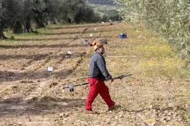 Amelia wang (mayli) she is on the shorter side, but I