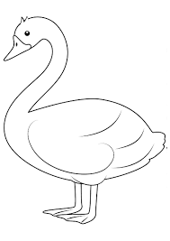 Check spelling or type a new query. Coloring Pages Easy Swan Coloring Pages For Kids