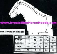 Horse Blanket Sizes Arsikons