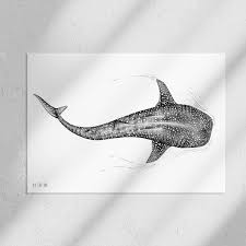 Whale Shark Prints, A4, 324 G, Fine Art Textured Paper, Dotwork, Ocean,  Illustration, Wall Decor, Naturalista, 8.27" X 11.69" - Etsy Canada