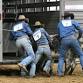 Ranch Rodeo