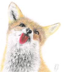 Tipps Zum Zeichnen Gezeichneter Fuchs Susser Fuchs Fuchs Zeichnen Malen Draw Drawings Farbercastel Fuchs Zeichnen Fuchs Malerei Susse Tiere Zeichnen Tiere hintergrundbiler mit einem krokodil im wasser mit seinem kopf über wasser. www pinterest ph
