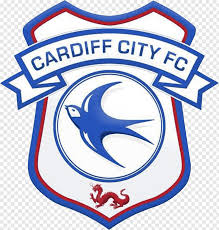 Download now for free this newcastle united logo transparent png picture with no background. Newcastle Fc Logo
