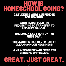 25 Funny Homeschool Memes 2020 Remote Learning Laughs In 2020 Homeschool Memes Funny Quotes Mom Humor