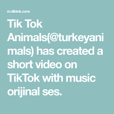 Tik Tok Animals Turkeyanimals Has Created A Short Video On Tiktok With Music Orijinal Ses In 2020 Cute Small Dogs Tik Tok Cute Little Puppies