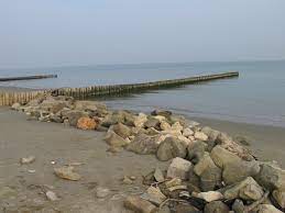 Later altered under the influence of loin. A B C D Different Types Of Groins In The Adriatic Coast Italy Groins Download Scientific Diagram