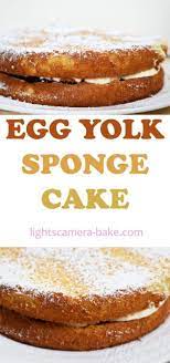 Egg Yolk Sponge Cake Lights Camera Bake Addictive Baking Desserts Sweet Treat Recipes Recipe Egg Yolk Recipes Egg Yolk Cake Recipe Easy Cake Recipes