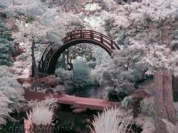 Infrared Bridge Photo Japanese Garden Bridge Japanese Garden Garden Bridge