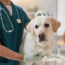 Petfirst Veterinary Queenstown