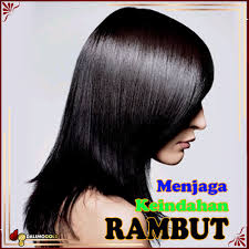 Satu lagi manfaat buah delima untuk kecantikan adalah kemampuannya dalam mengurangi kebotakan. Pin Di Manfaat Buah Delima