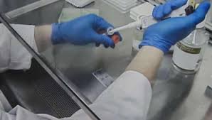 We did not find results for: Cosmetic Testing