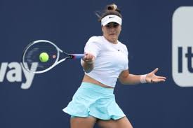 Fans, please take into consideration that we didn't break into bianca andreescu's bank accounts. Wswkrl65t Wn3m