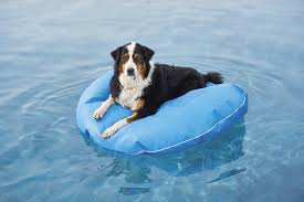 Maybe you would like to learn more about one of these? Right At Home Splashy Water Toys For Patio Pool Yard