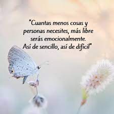 Libre Emocionalmente Frases Sabias Frases De Lecciones Citas Sobre Lecciones De Vida