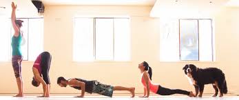 The mā yoga 200 hour yoga teacher training program in victoria bc is an intensive journey into the heart of yoga practice and how you can use these tools to show up. Ihana Yoga I Yoga Classes I Yoga Teacher Trainings Balancegurus