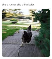 She A Runner She A Trackstar Whats The Wifi202 Memes