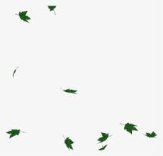 Browse and download hd falling leaves png images with transparent background for free. Falling Green Leaves Png Images Free Transparent Falling Green Leaves Download Kindpng