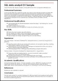 Pin By Maria Johnson On Work Resumes And Cover Letters Data Analyst Analyst Resume Summary Examples