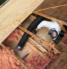 It could be pests scratching and scurrying about! Attic Insulation Removal In Toronto Gta